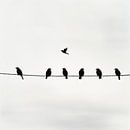 Vogels in de lucht en op de draad van Poster Art Shop thumbnail