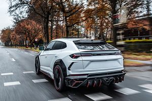 Lamborghini Mansory Urus Venatus van Bas Fransen