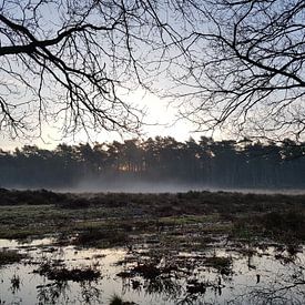 Hireath Schrijft Profilfoto