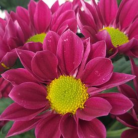 Marcio Leite Profilfoto