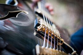 Gitaar by Danny van den Berg