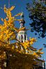 La tour de la grande église de Breda aux couleurs de l'automne sur JPWFoto Aperçu