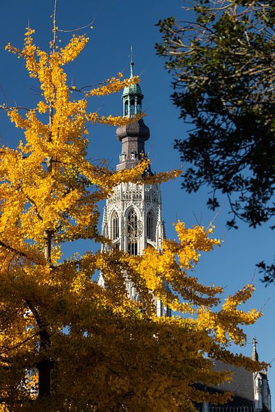 La tour de la grande église de Breda aux couleurs de l'automne sur JPWFoto