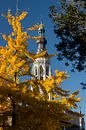 Turm der Großen Kirche von Breda in Herbstfarben von JPWFoto Miniaturansicht