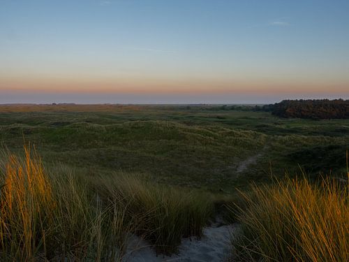 Duinen Ameland