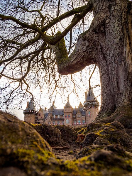 Der Wachende Baum bei Schloss De Haar von Mr White Takes Pictures