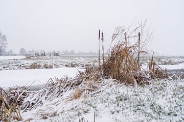 Polderlandschap in de Winter van Rossum-Fotografie