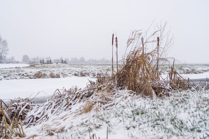 Polderlandschaft im Winter von Rossum-Fotografie