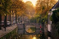 Herfstkleuren in Amersfoort van Sjoerd Mouissie thumbnail