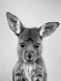 Baby Kangaroo - Black & White