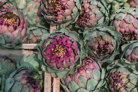 Artischocken auf dem Markt Bretagne | Fotodruck Frankreich | Farbenfrohe Reisefotografie von HelloHappylife