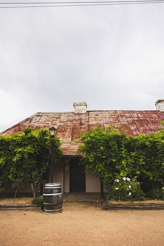 Verlaten hotel dat teruggenomen wordt door de natuur.