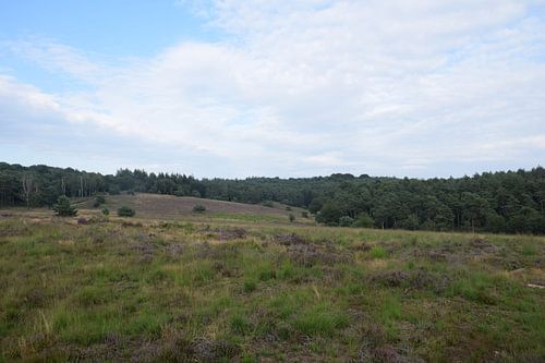 Blick auf die Heumense Schans