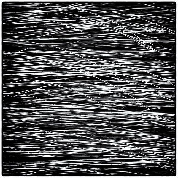 abstrakte Linien in Schwarz-Weiß von Bert Bouwmeester