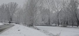 Winterwonderland van Hans van Eijsden