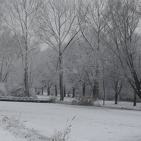 Winterwonderland van Hans van Eijsden