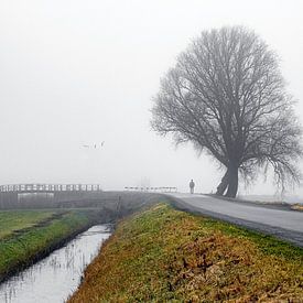 Promeneur dans le paysage sur Jaap Bosma Fotografie