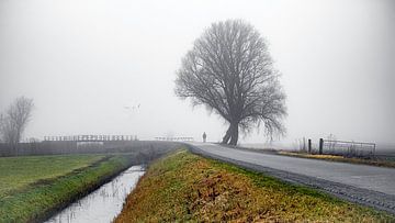 Promeneur dans le paysage