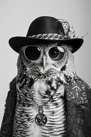 Eule von Poster Art Shop