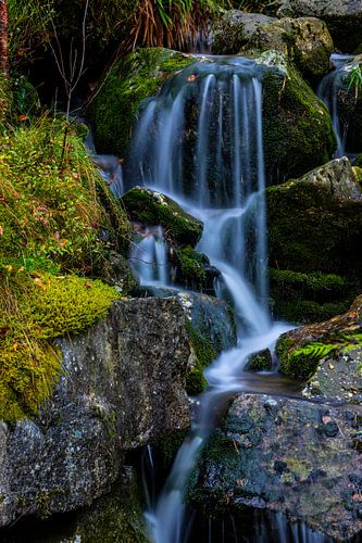 Ytra Dørvika, Forsand, Noorwegen