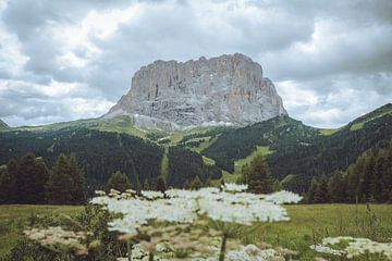 Langkofel in den Dolomiten von Youri Zwart