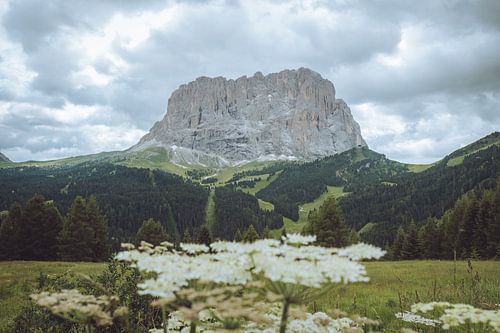 Sassolungo dans les Dolomites