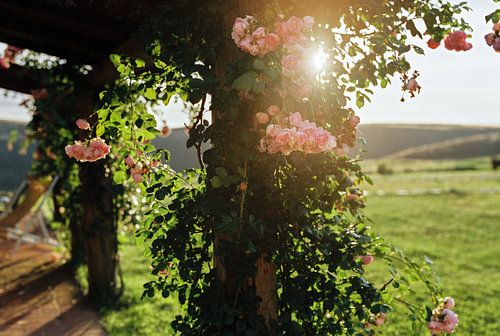 Tot rust komen in Toscane