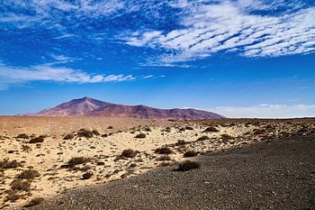 Timanfaya National Park, Lanzarote