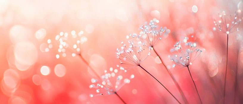 Delicate bloesems in zacht licht van Poster Art Shop