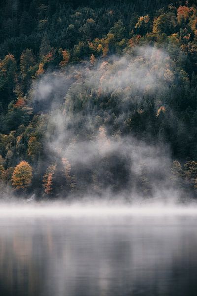 Alps by Marvin Schweer