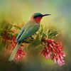 Red-throated Bee-eater - Green Tropical Bird Perched On Flower by Diana van Tankeren