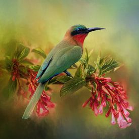 Red-throated Bee-eater - Green Tropical Bird Perched On Flower by Diana van Tankeren