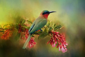 Vogel Schilderij Met Bijeneter Op Bloem In Tropische Kleuren van Diana van Tankeren