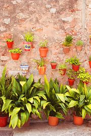Valldemossa flower pots by Inge Hogenbijl