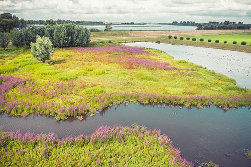 Gat van den Ham in de zomer 3