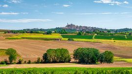 Vignale Monferrato village with Monferrato countryside fields by Stefano Orazzini