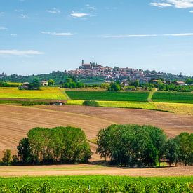 Vignale Monferrato village with Monferrato countryside fields by Stefano Orazzini