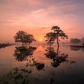 Een magische ochtend.... van Moetwil en van Dijk - Fotografie