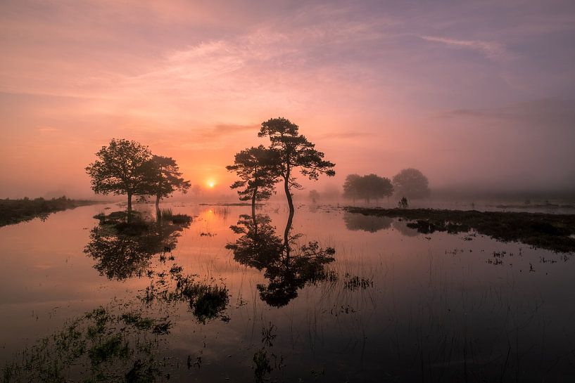 Ein magischer Morgen.... von Moetwil en van Dijk - Fotografie