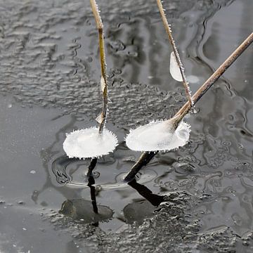 Een abstract winters natuurverschijnsel van ijs van Gea van der Veen-Smedeman