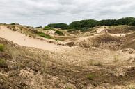 Dune du Peroquet by Werner Lerooy thumbnail