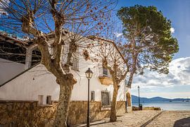 Uferpromenade in Port de Pollenca im Winter, Mallorca von Christian Müringer