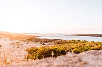 Zonsondergang op Fuerteventura, Canarische Eilanden