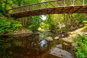 Rivière dans l'est du Canada
