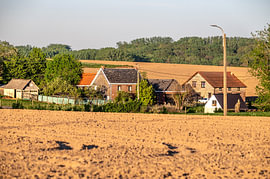 Golvend land in avondzon van Werner Lerooy