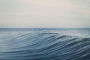 I wish you water by Debby Bierman