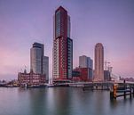 Skyline Rotterdam bij de kop van zuid van Ilya Korzelius thumbnail