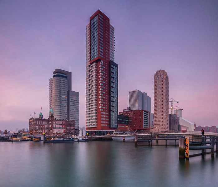 Skyline Rotterdam bij de kop van zuid van Ilya Korzelius