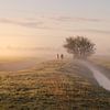 Twee pony's wandelen door de mist van Anneke Hooijer