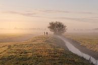 Twee pony's wandelen door de mist van Anneke Hooijer thumbnail